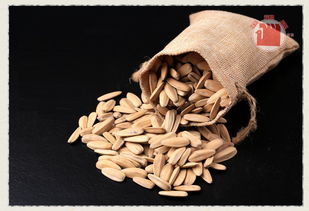 堅(jiān)果炒貨辦公休閑零食小吃特產(chǎn)五香瓜子