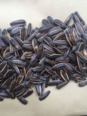 五香瓜子 傳統(tǒng)與創(chuàng)新的堅(jiān)果炒貨之選